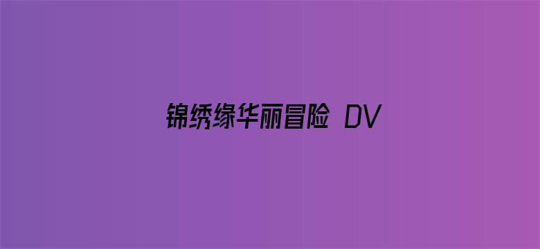 锦绣缘华丽冒险 DVD版